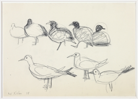 Wolf Kahn, Shore Birds, 1958    Pencil 6 x 8 inches